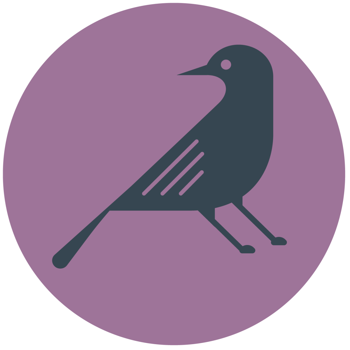 Birds & Wildlife